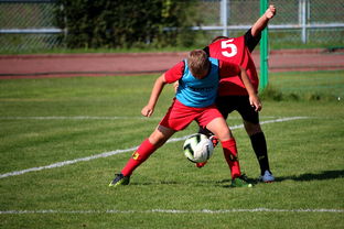 STARRYSKY SPORTS-足球俱乐部建设标准发布 加强青训基地建设，足球俱乐部青训招生